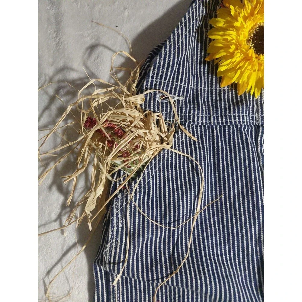 2t Round House overalls Striped Homemade Scarecrow Halloween And Fallfest Outfit